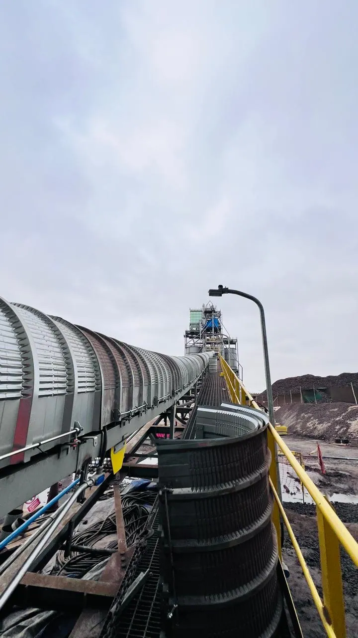 WhatsApp Image 2024-08-31 at 9.03.03 AM